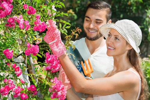 Cost-effective hedge maintenance in Islington