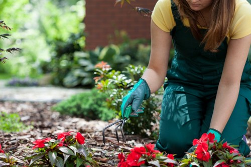Beautifully maintained garden in Islington