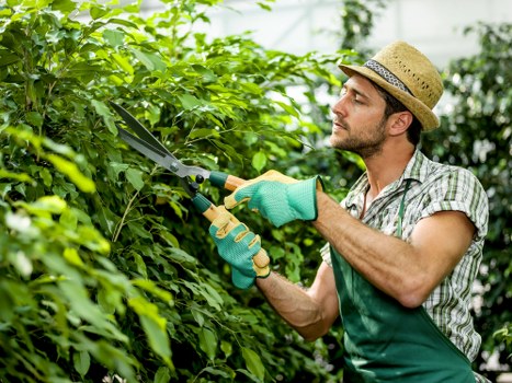 Essential garden maintenance tools