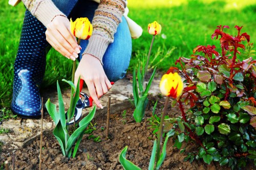 Climate-friendly plants for Islington gardens